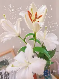写メ日記 宮本恵美子 10/2(金) 18:10