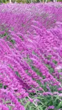 写メ日記 黒木さゆり 10/3(土) 17:48
