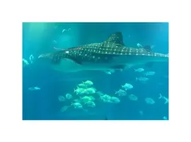 写メ日記 かな 10/5(月) 14:02