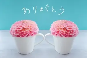 写メ日記 藤田ゆうか 10/9(金) 15:24