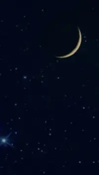 写メ日記 黒木さゆり 10/11(日) 20:28