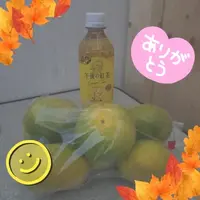写メ日記 池畑美香 10/14(水) 14:44