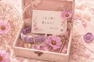 写メ日記 あいか 10/19(月) 07:35