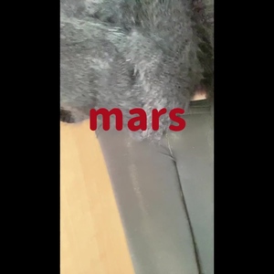 出勤パンチラ(103) ありす (MARS 松阪人妻店)