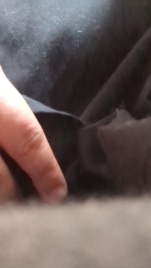 出勤パンチラ(11506) まりあ (昭和道(ショウワロード)松阪店)