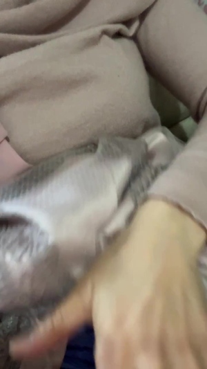 出勤パンチラ(7626) ゆい (愛特急2006三重本店)