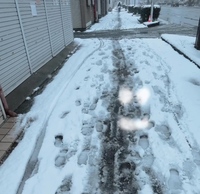 さく 女の子動画[1]